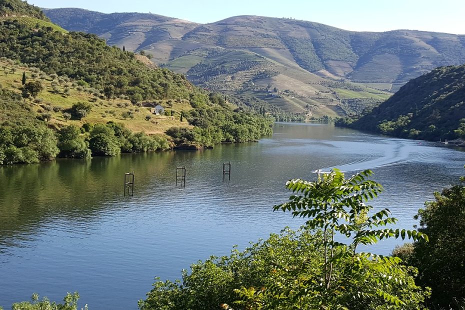 wijn tour douro vallei 2